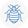 Bed Bug Extermination In Castle Donington